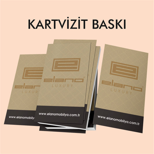 Ekonomik Standart Kartvizit