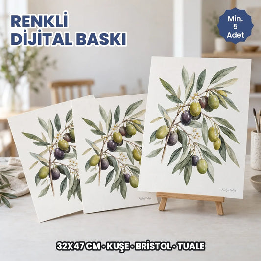 Renkli dijital baskı: 32x47 cm kalın gramajlı kâğıda renkli baskı, kuşe, bristol ve tuale